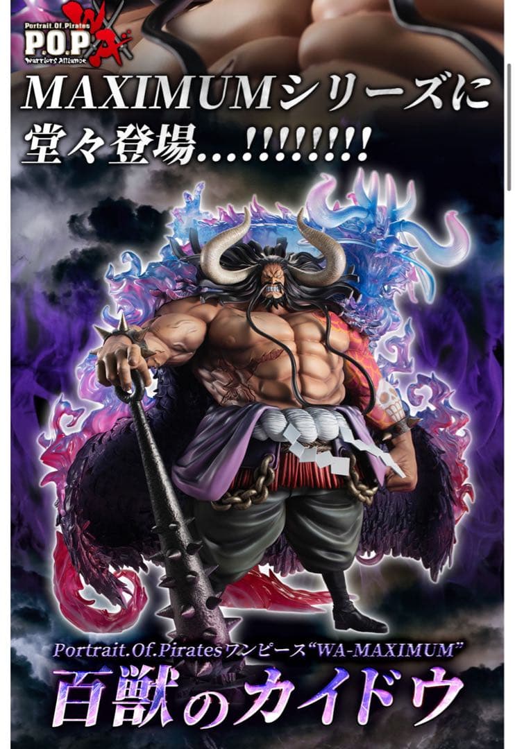 ※柴犬 POP ワンピース “WA-MAXIMUM” 百獣のカイドウ