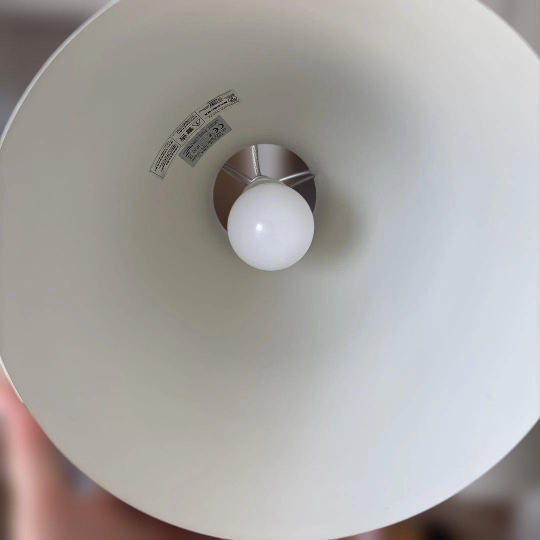 りゅう様　カラヴァッジオP2 1個