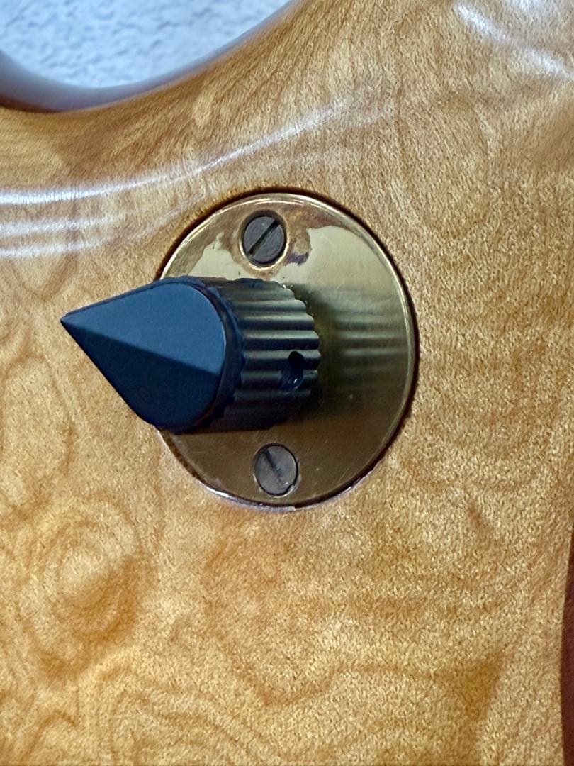 【希少】ALEMBIC DISTILLATE 2PU BASS 1983