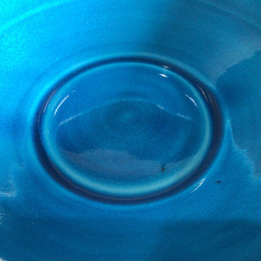 Ｎ８１３　水指　『貴山造』『浅黄交趾』『平水指』　共箱　茶道具