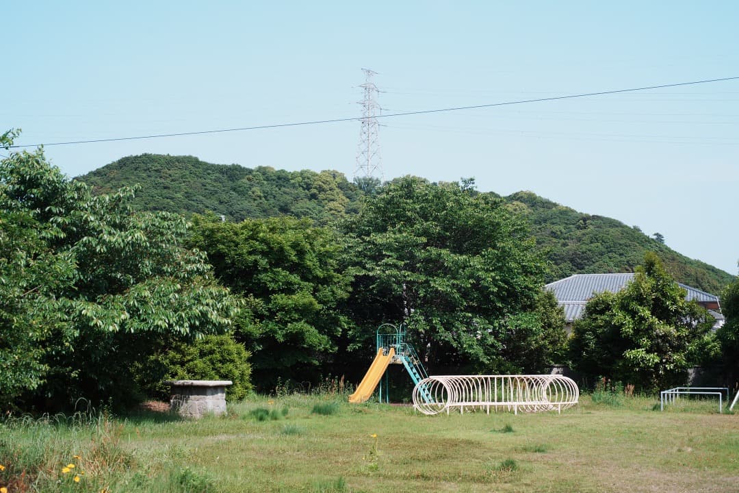 【美品】動作◎ オリンパス G.Zuiko auto 50mm F1.4 980