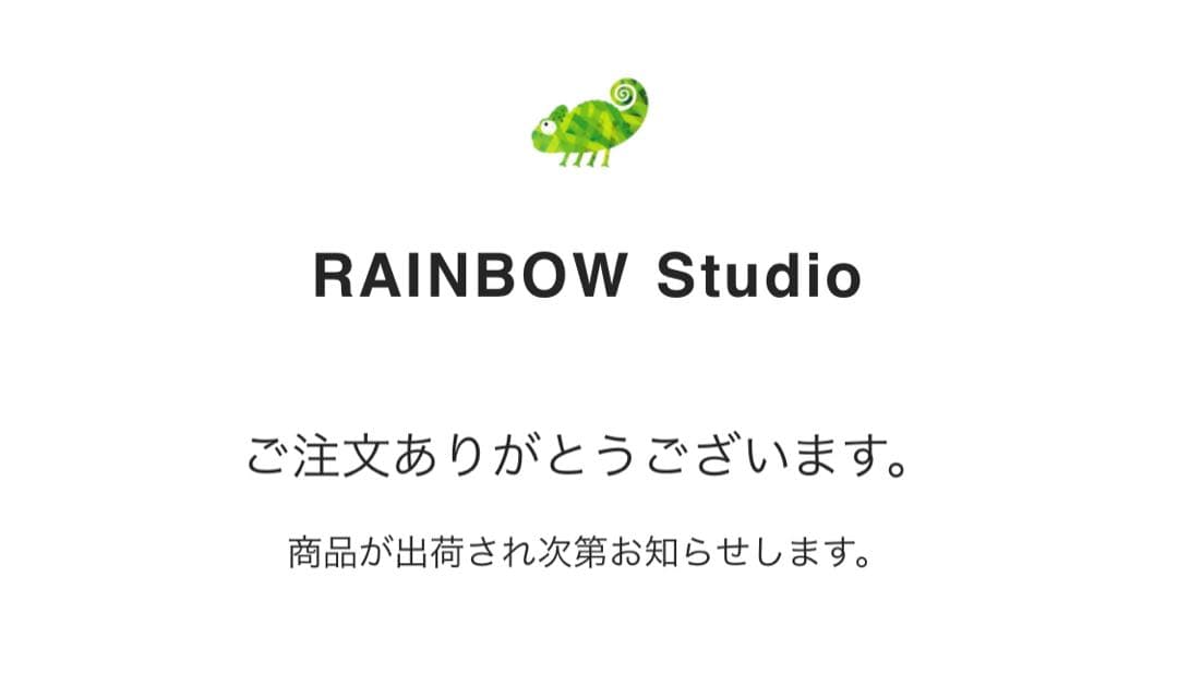 【新品】カメレオンリーダー　スターターセット