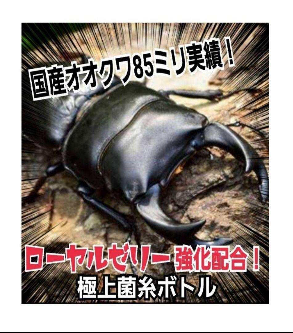 オオヒラタケ菌糸瓶1100ml【８本】特殊アミノ酸強化配合！オオクワガタに抜群！