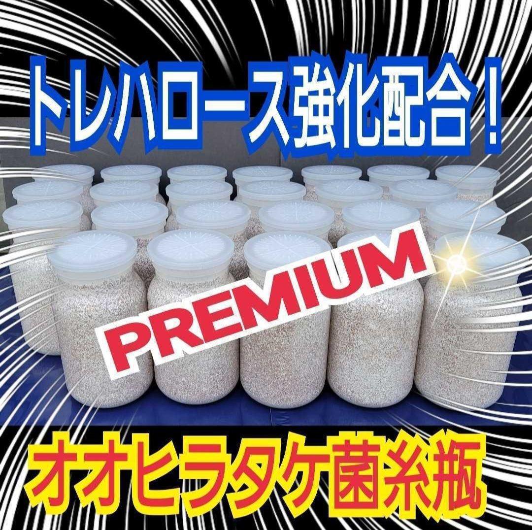 オオヒラタケ菌糸瓶1100ml【８本】特殊アミノ酸強化配合！オオクワガタに抜群！