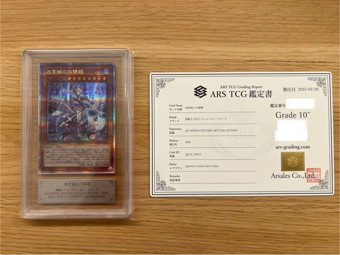 【ARS10+/鑑定書付】迷宮城の白銀姫(通常絵) [25th]