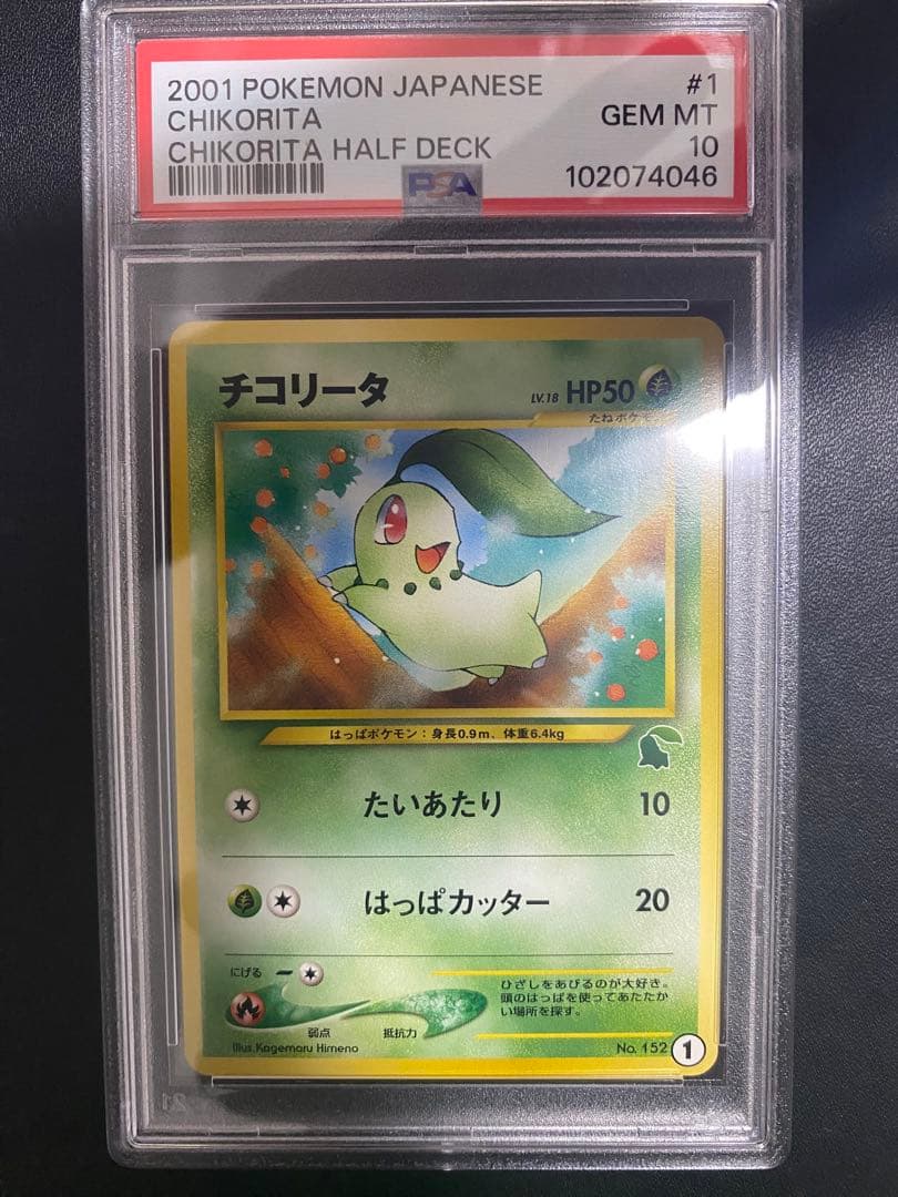 チコリータ　イントロパック PSA10 旧裏 ポケモンカード　世界で19枚