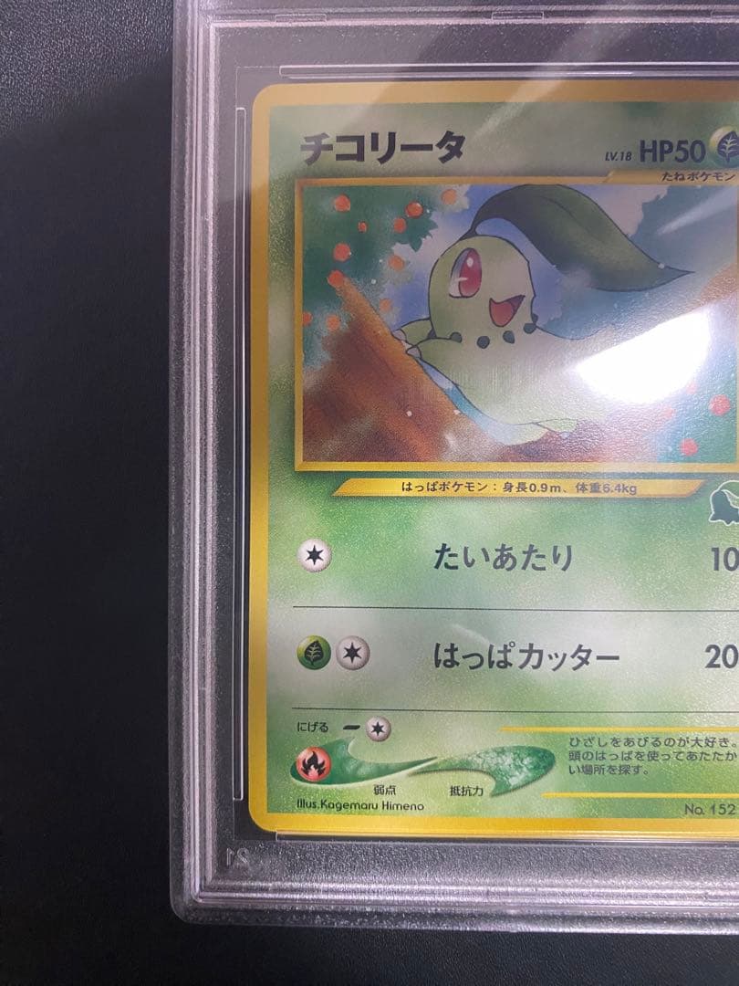 チコリータ　イントロパック PSA10 旧裏 ポケモンカード　世界で19枚