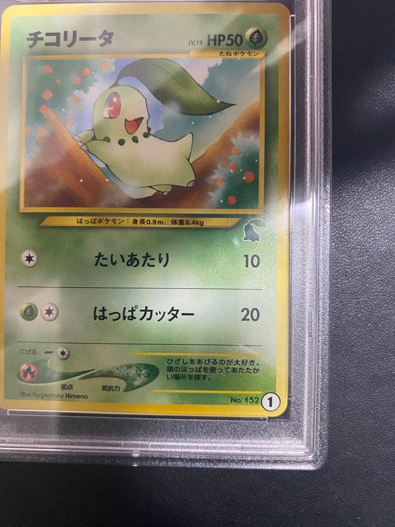 チコリータ　イントロパック PSA10 旧裏 ポケモンカード　世界で19枚