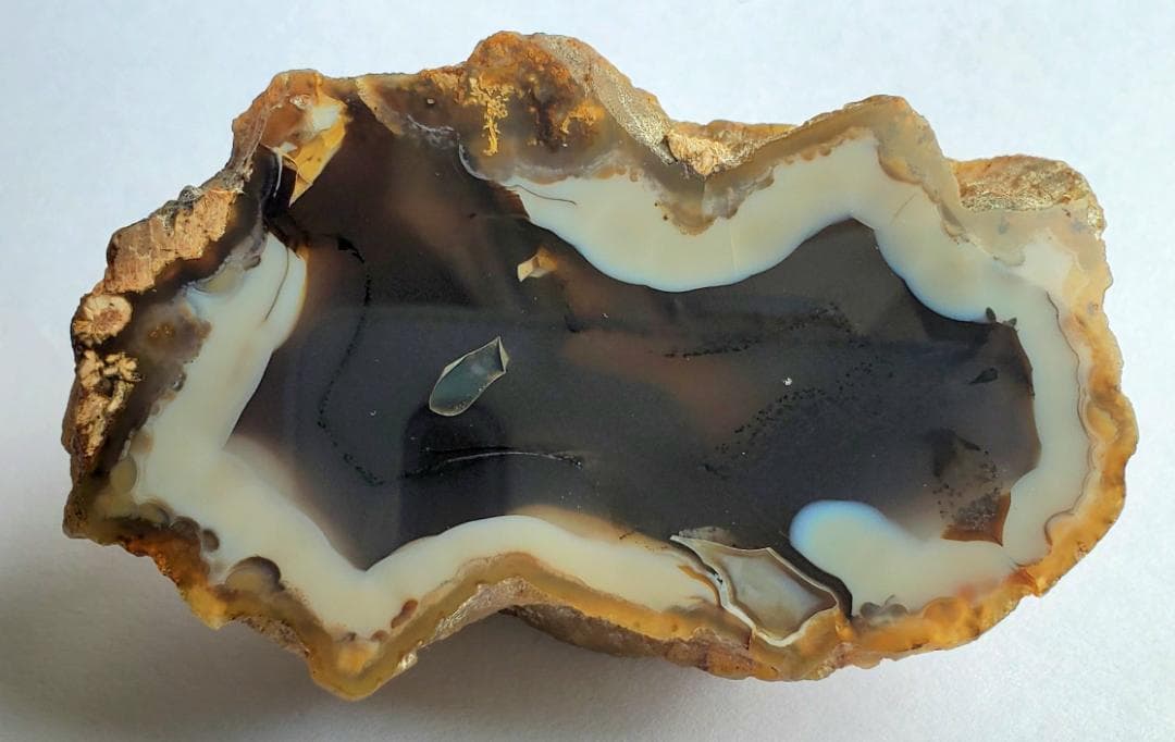 【コレクターズアイテム】ターキッシュアゲート