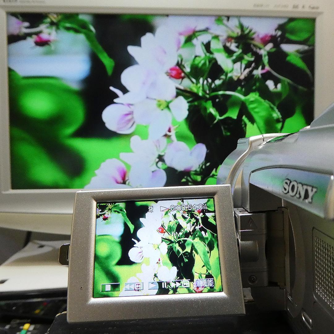 動作品 ソニーDCR-TRV70 MiniDV ビデオカメラ DVDダビングに