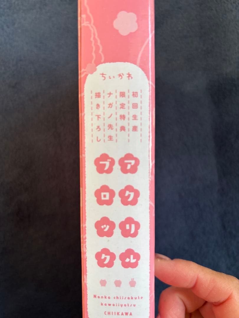 ちいかわ☆初回生産限定特典アクリルブロック☆