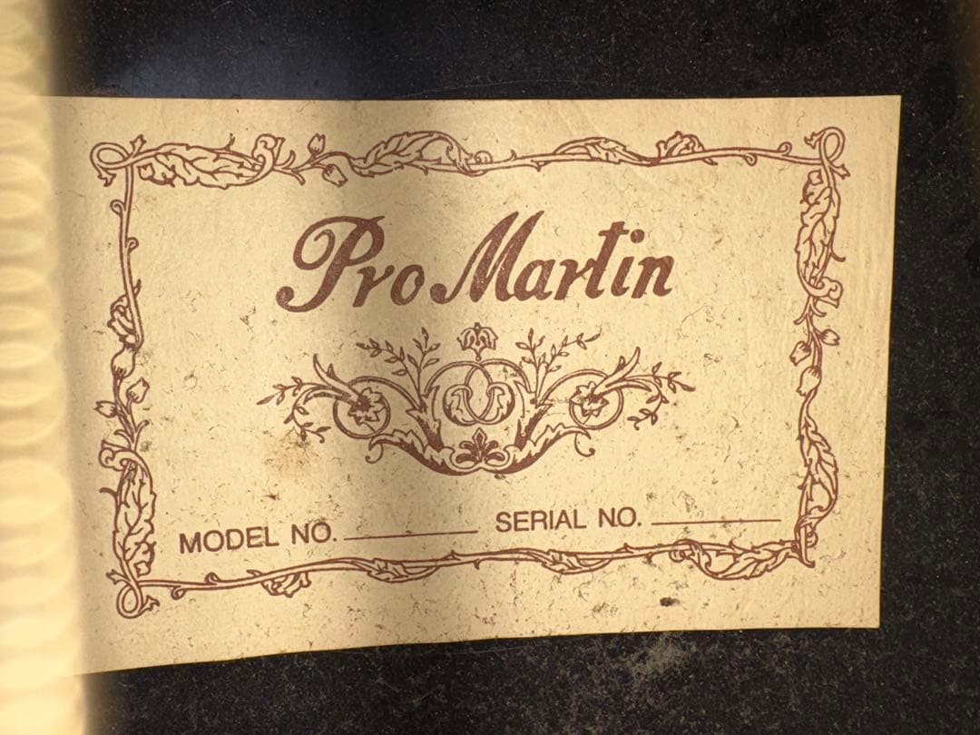 Pro Martin エレアコ　ソフトケース　他付属品付き 1920-01-1