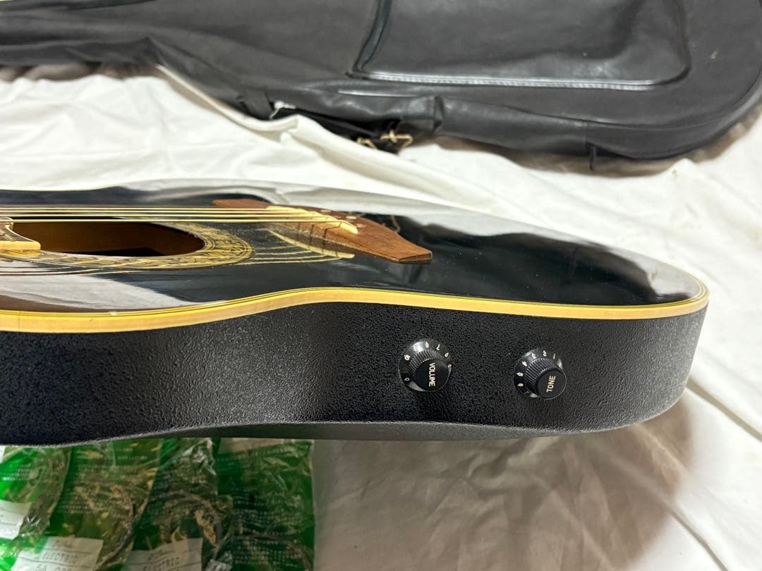 Pro Martin エレアコ　ソフトケース　他付属品付き 1920-01-1