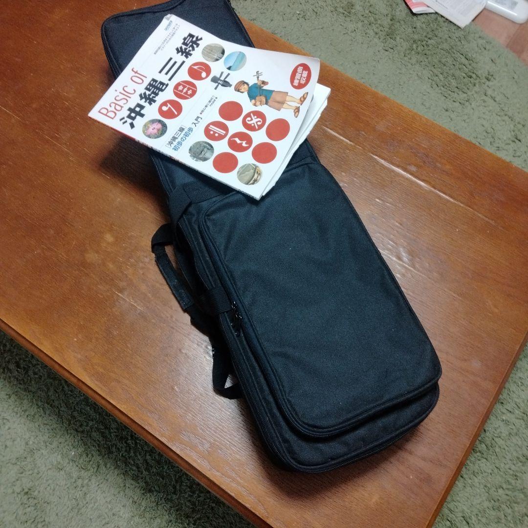 超美品　三線　人工蛇革　付属品多数 ケース付き