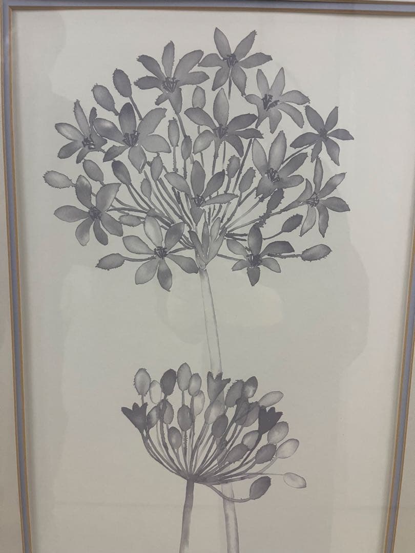 ローラアシュレイ　Ken Riley 植物スケッチ