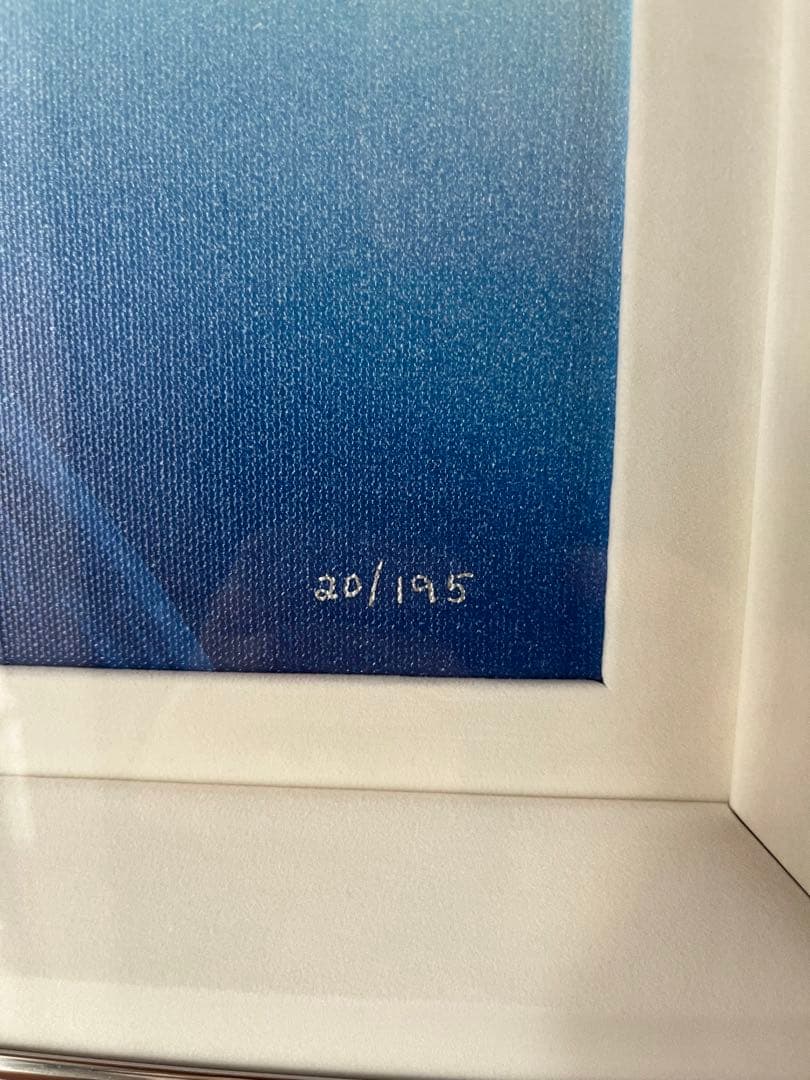 ディズニー　エルサズトランスフォーメーションJP版　ジクレ　ED195