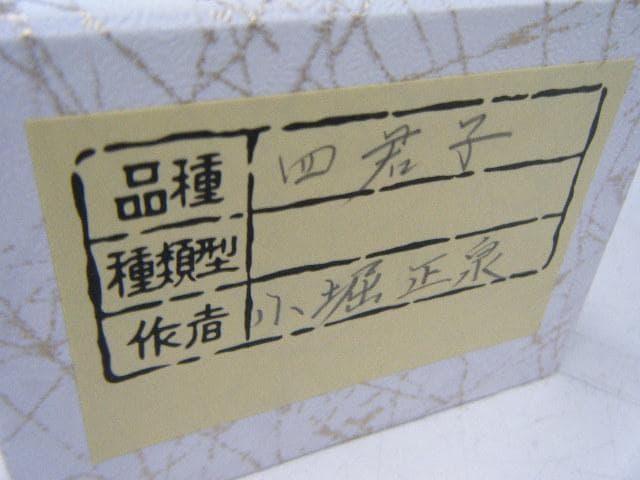 【未使用品】掛軸 小堀正泉『四君子(草花)』絹本 箱付 掛け軸 L01620