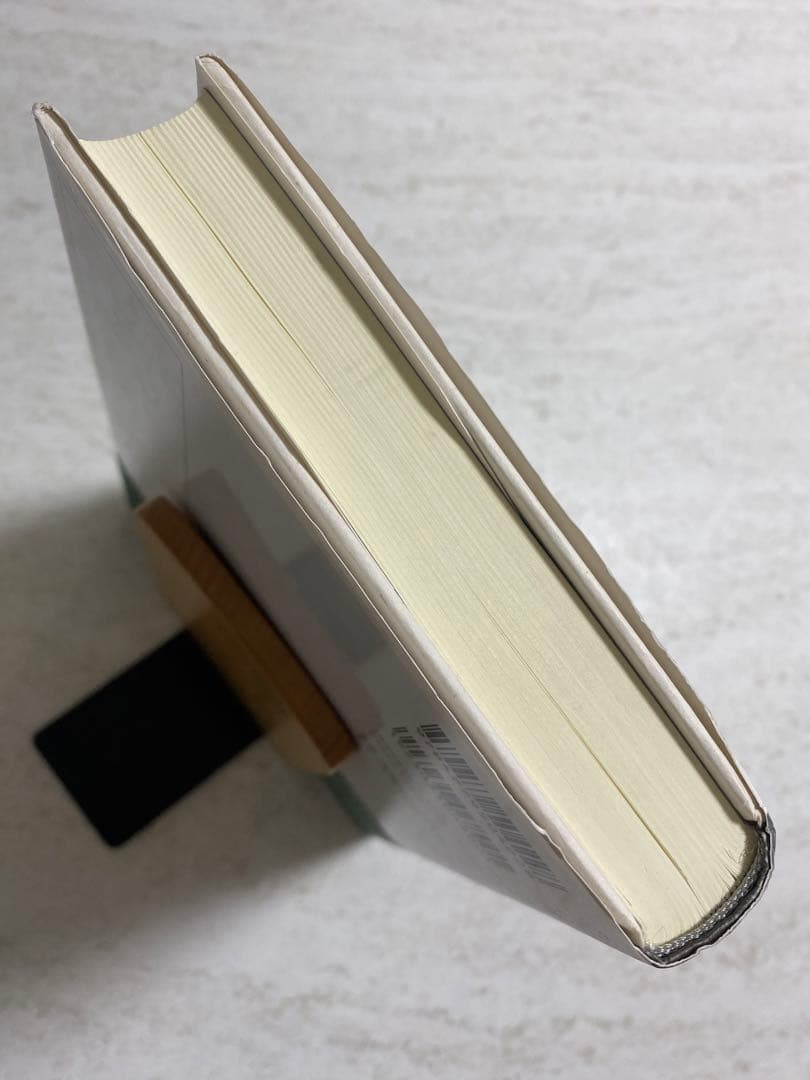 入国管理政策 「1990年体制」の成立と展開