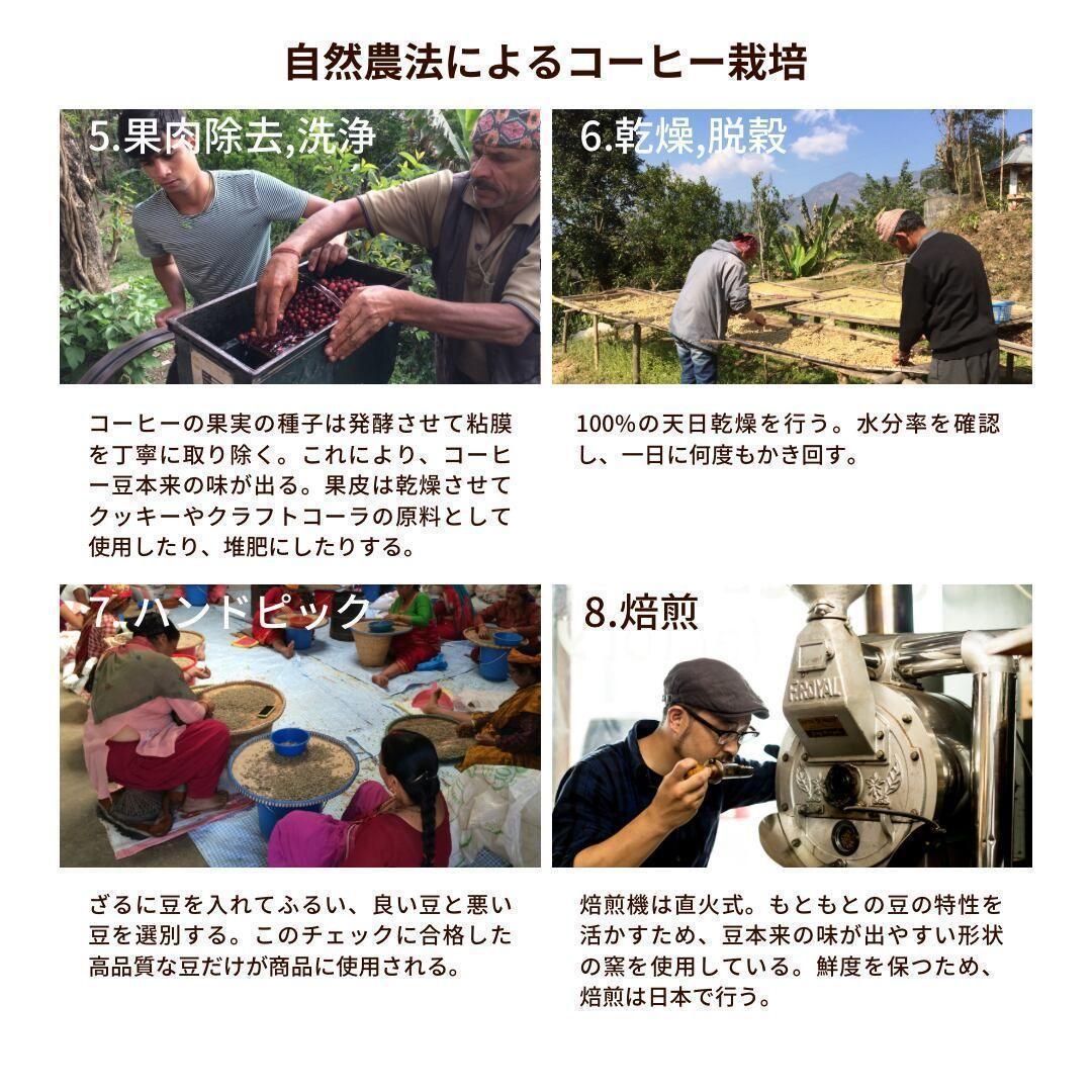 ○オーガニックコーヒー ダーク フェアトレード 1kg 粉 コーヒー豆 ネパール