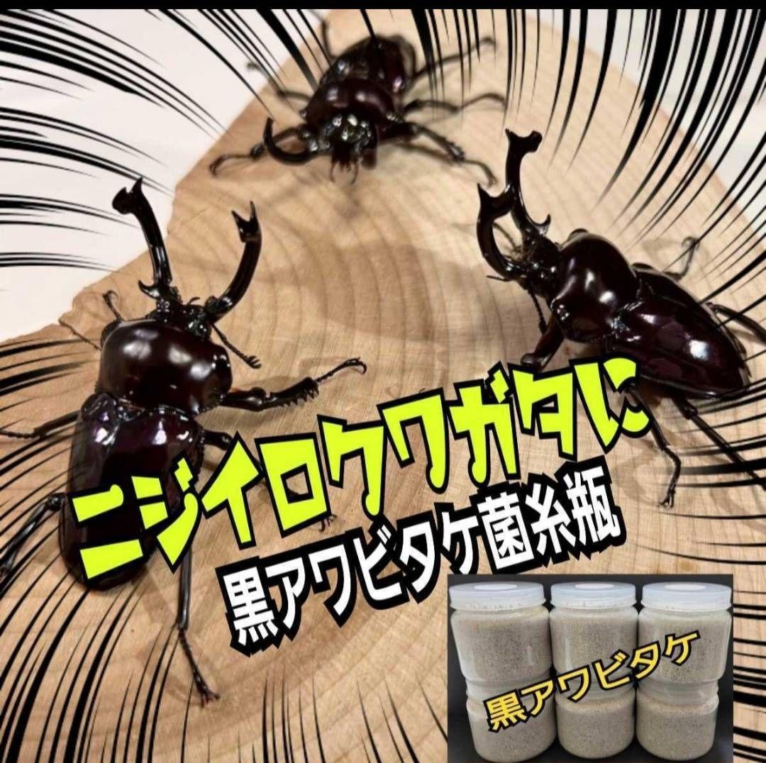 ニジイロクワガタにお薦め！極上！黒アワビタケ菌糸瓶【8本】トレハロース強化配合！