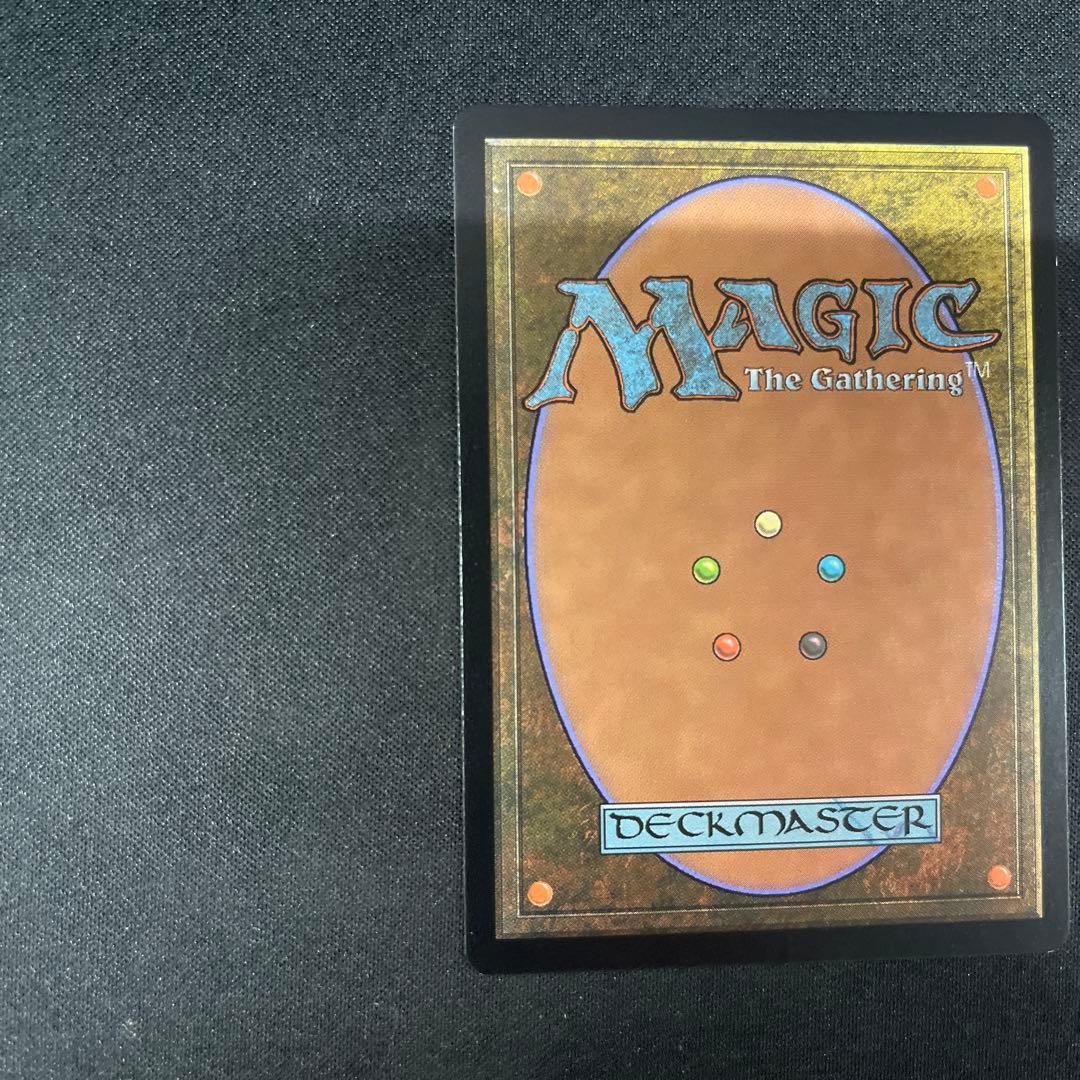 Verdant Catacombs 新緑の地下墓地FOIL023/045 MTG