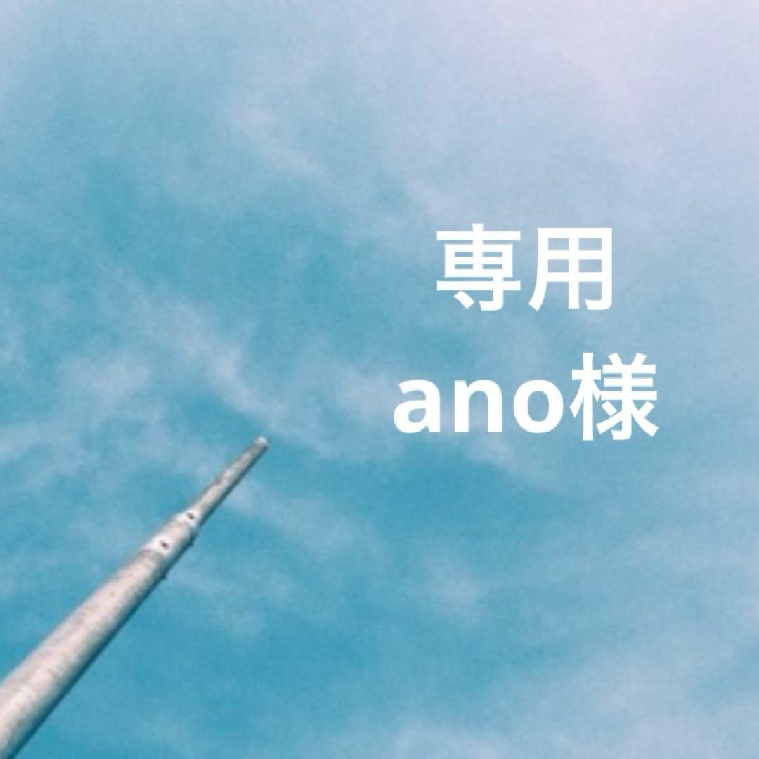 ③専用ページ ano様