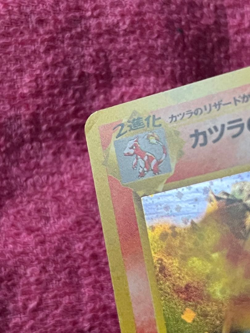 カツラのリザードン　旧裏