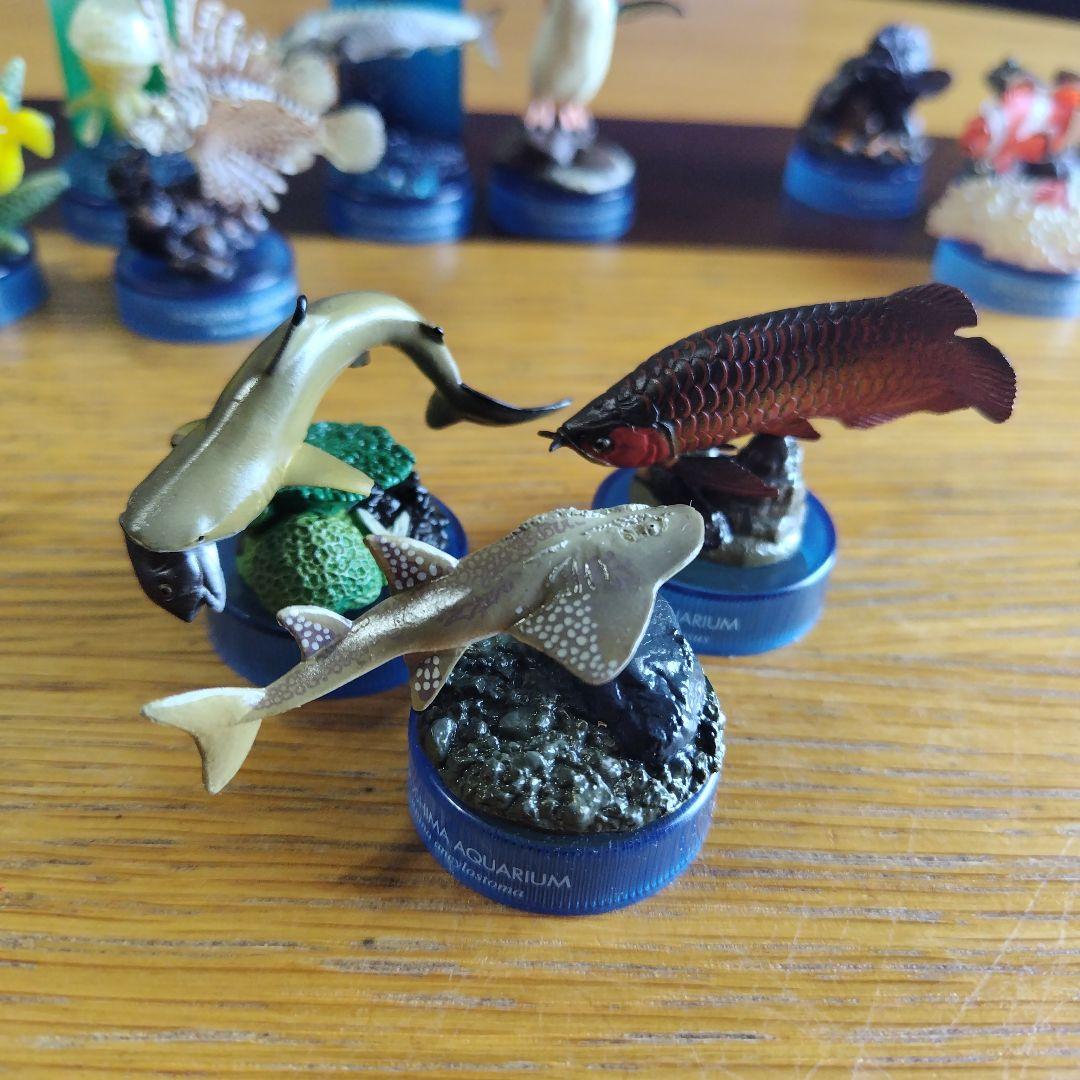 土日値下げ江の島水族館 海洋生物1、 2全フィギュア29種フルコンプセット