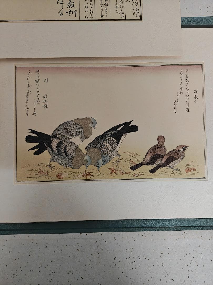 喜多川歌麿「百千鳥」15products