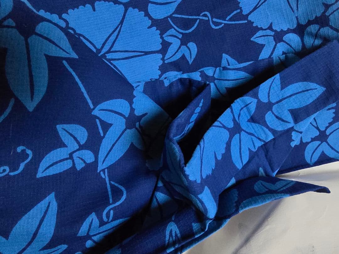 タイムセール!レア中のレア、日本橋竺仙綿紅梅、青い朝顔