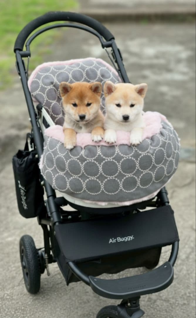 ❤３点セット❤ペットカートコンフォーター＆ライナー＆ピロー　グレー✕ピンク