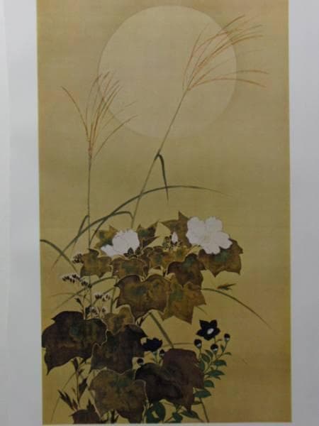 酒井抱一、秋月白芙蓉桔梗図、超希少・大判画集画、新品額装付