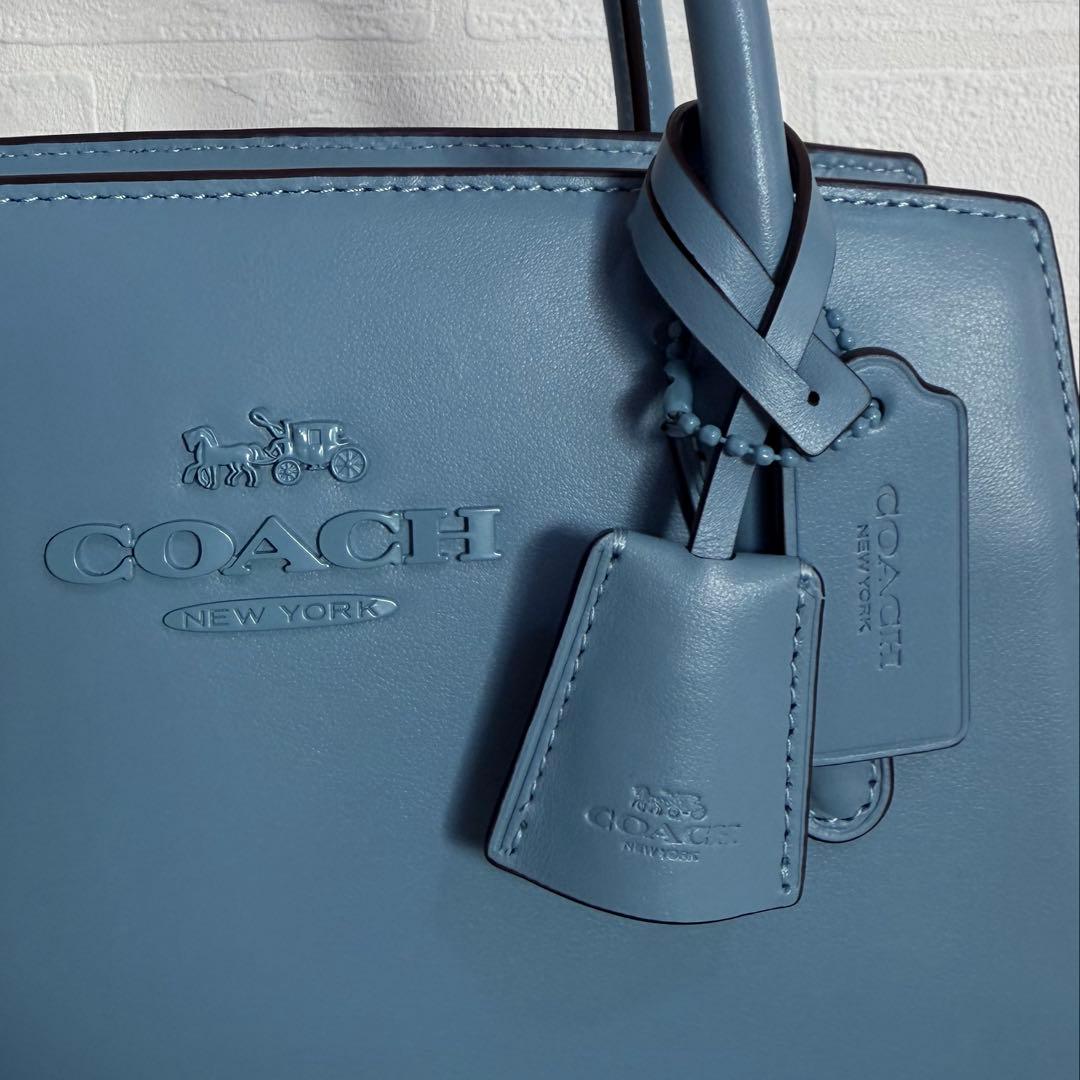 ✨未使用品✨コーチ アンドレア キャリーオール 2way ショルダーバッグ