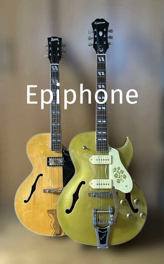 お値段リクエスト対応Epiphone. ES-295.