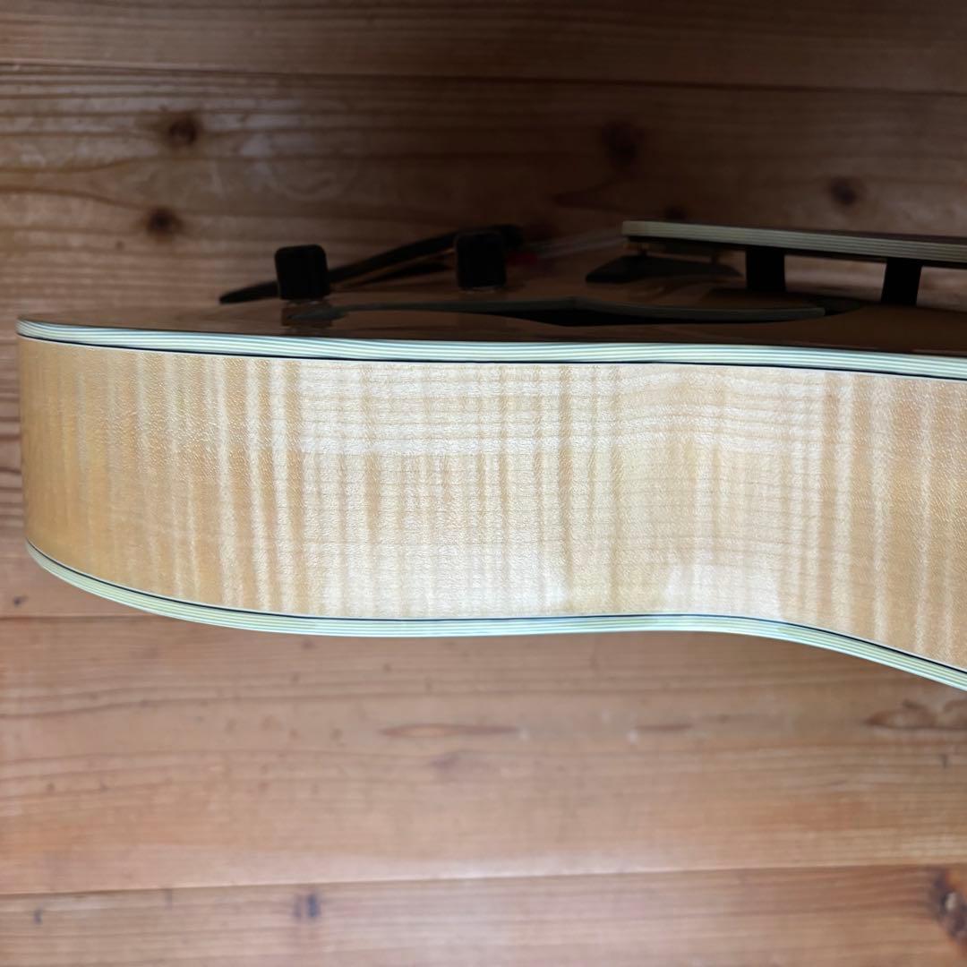 2019年製 Eastman AR810CE