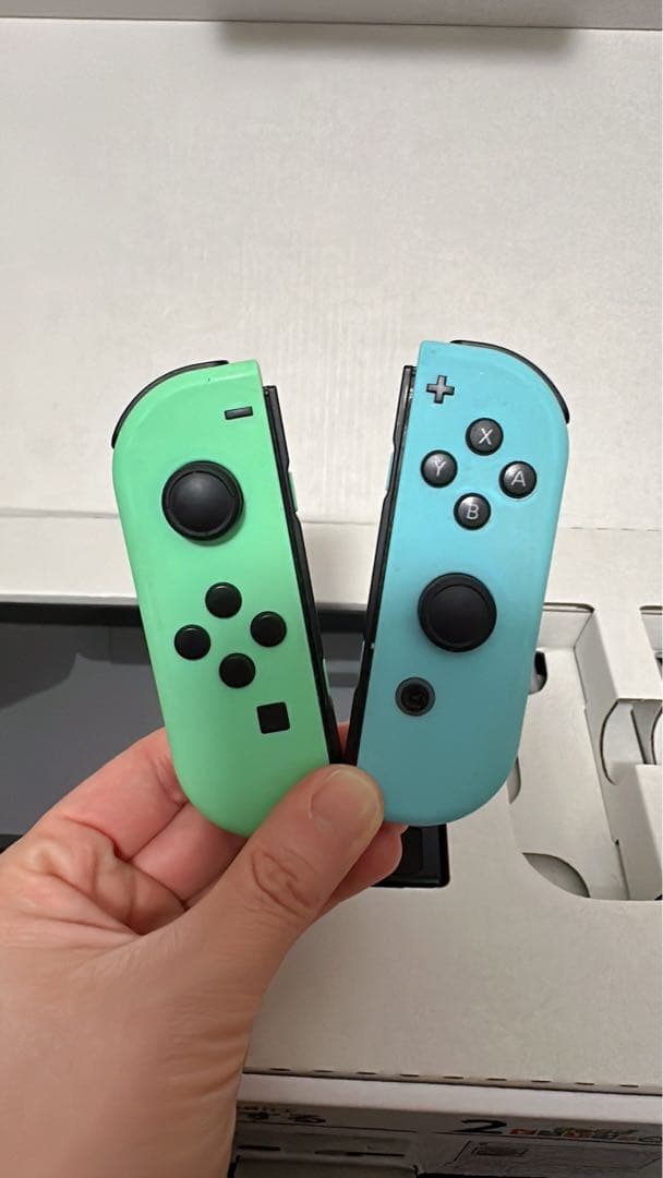 Nintendo Switch 本体　あつまれどうぶつの森