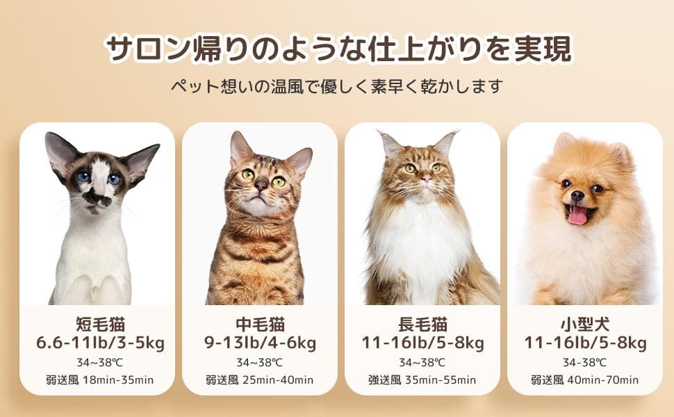 ⭐新品⭐️ドライルーム ペット ドライヤー マイナスイオン 省エネ