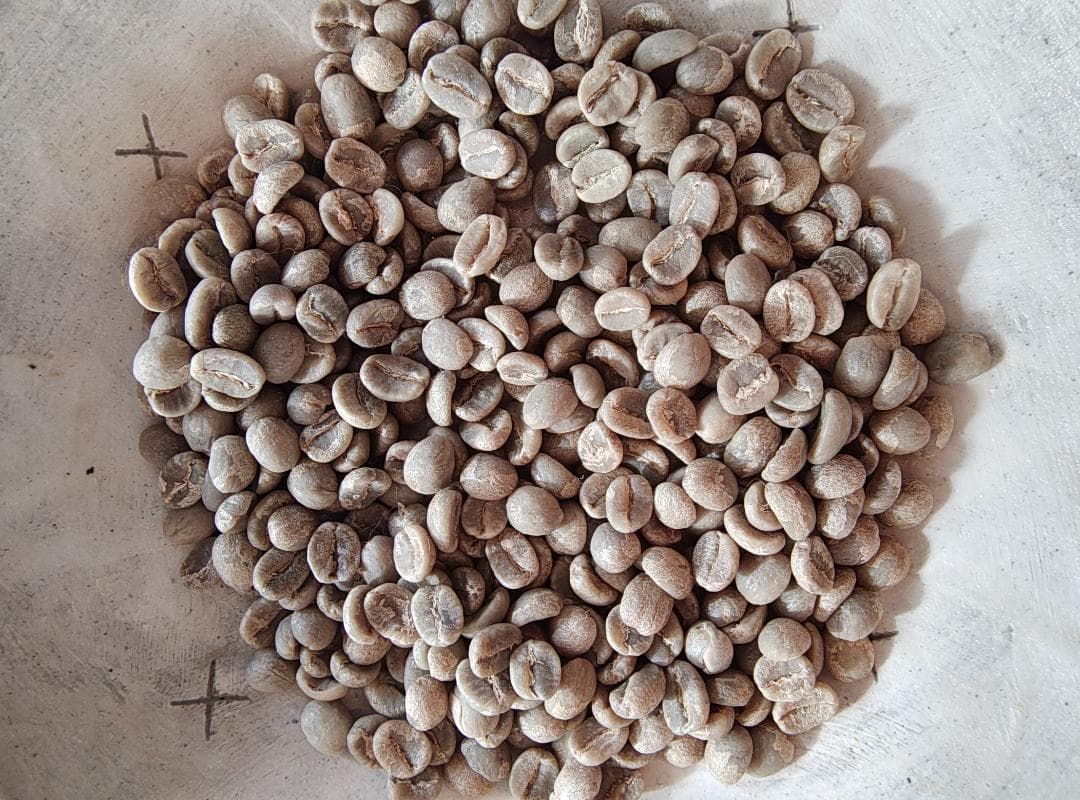 ケニア産有機コーヒー生豆　キマンディ農園製 10kg 品番KC-10000