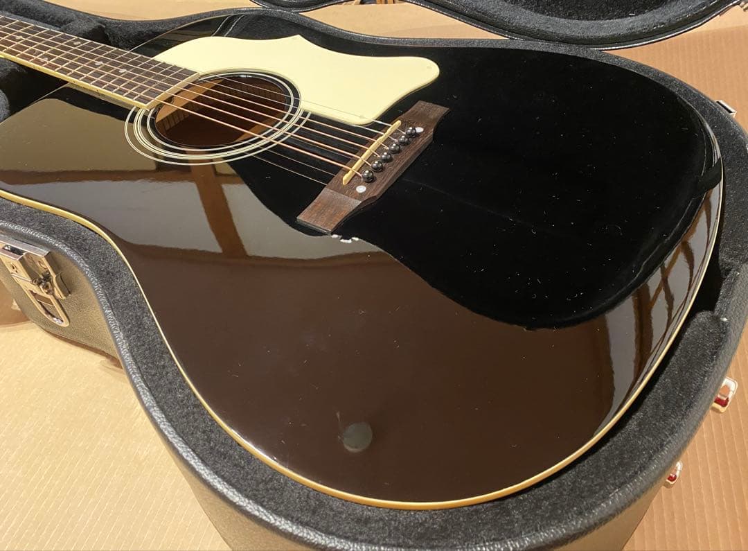 Epiphone DR-100 EB エボニー ハードケース付