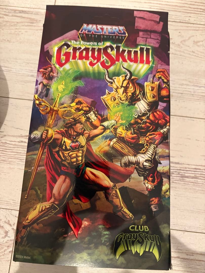 HE-RO フィギュア Masters of the Universe