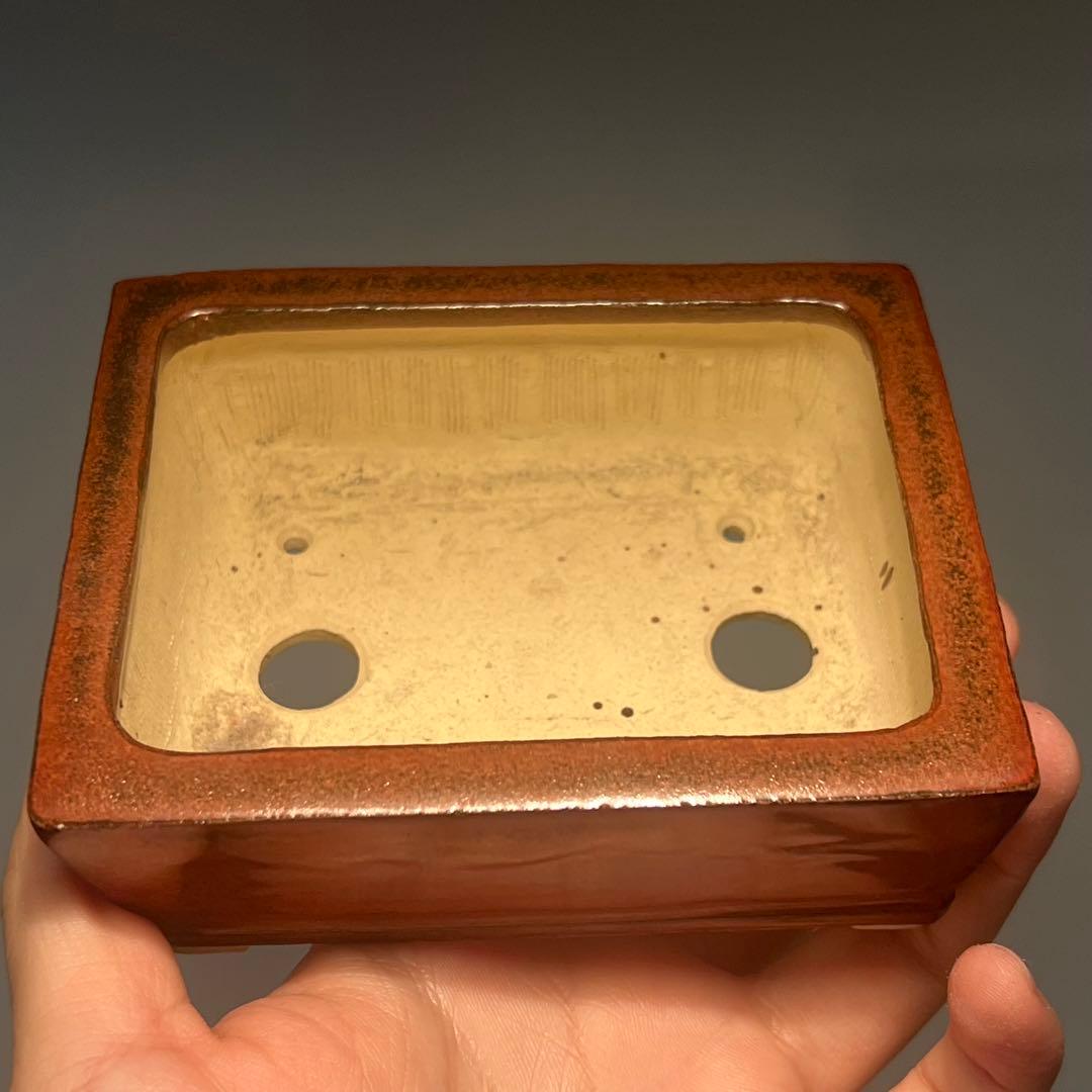 749.桂雲 鉄紅釉段足長方 盆栽鉢 植木鉢 11.5*9.3*4.5cm