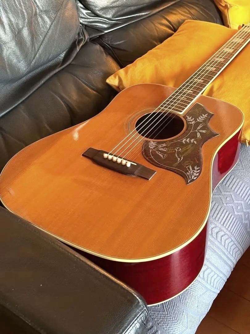 ARIA WH30 アコースティックギター