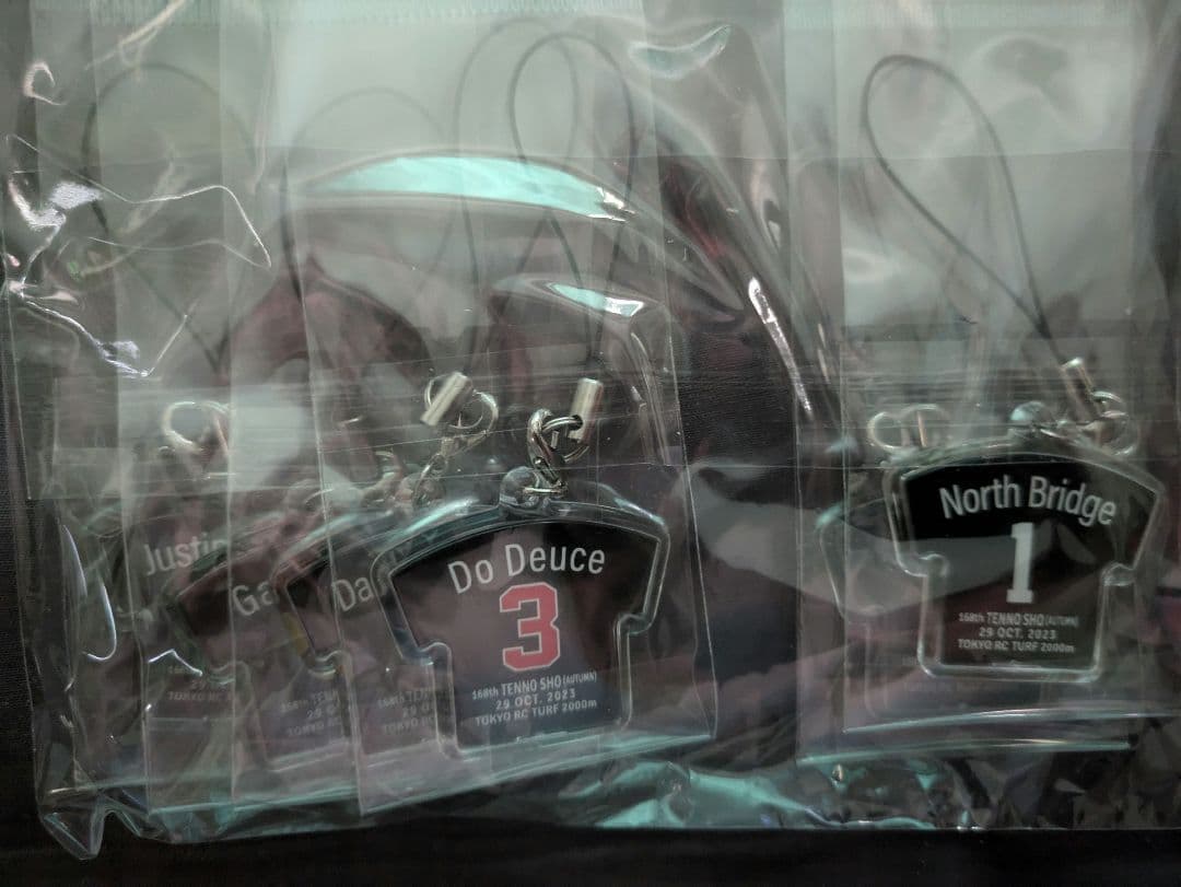 第168回天皇賞・秋　全出走馬のボールペン＆ストラップ