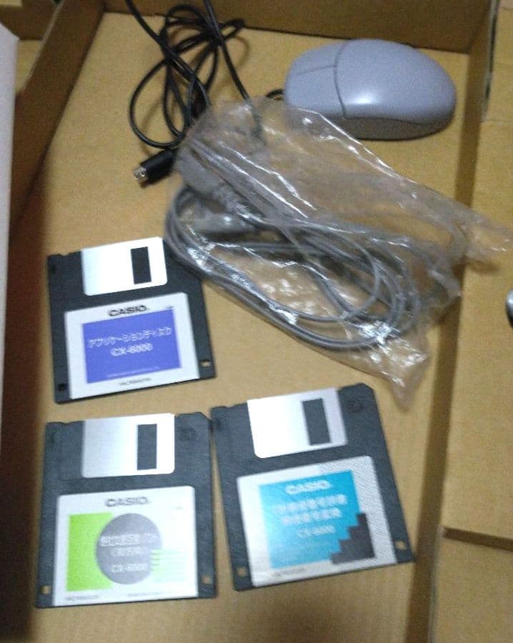 カシオカラーワ－プロDarwinCX-6000