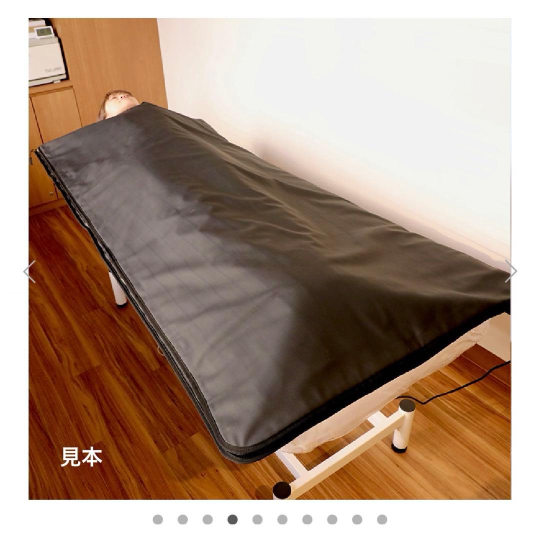 【最終値下げ！】シュアラインプロ-パスティール