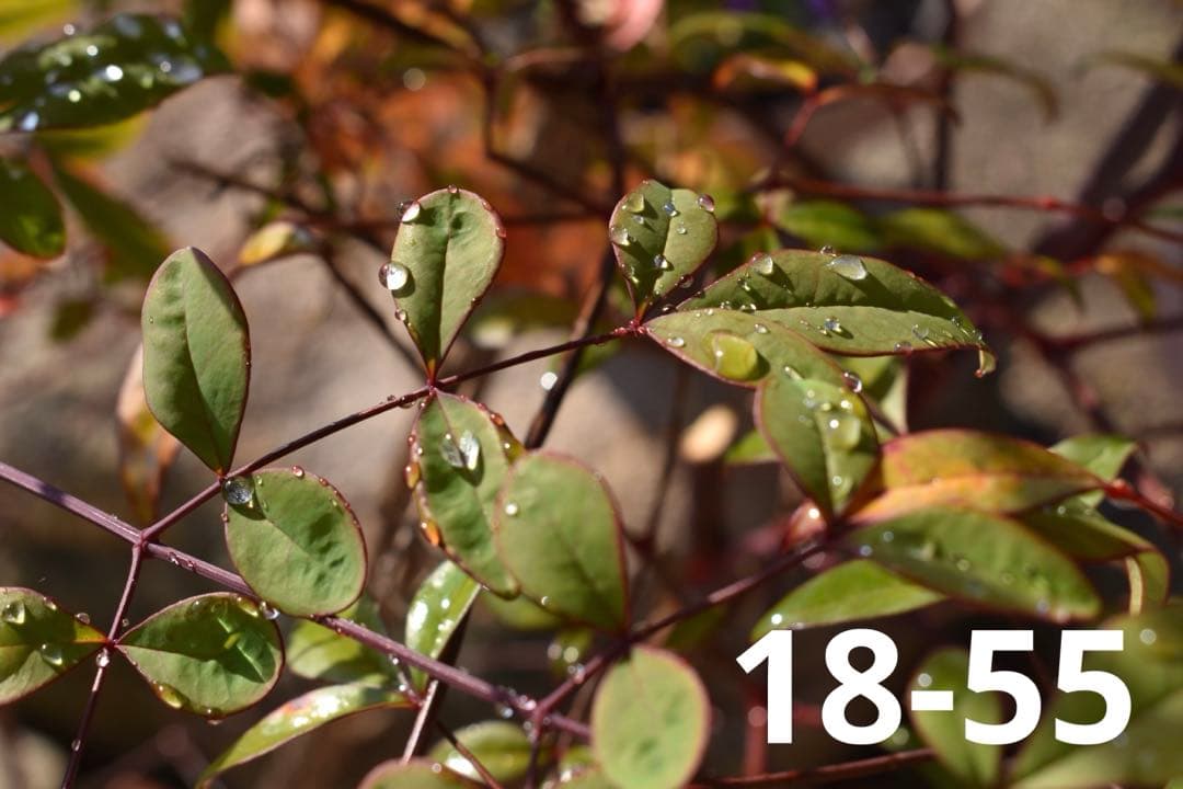 【WiFi搭載】美品 Nikon D5600 ダブルズーム 付属品充実 初心者