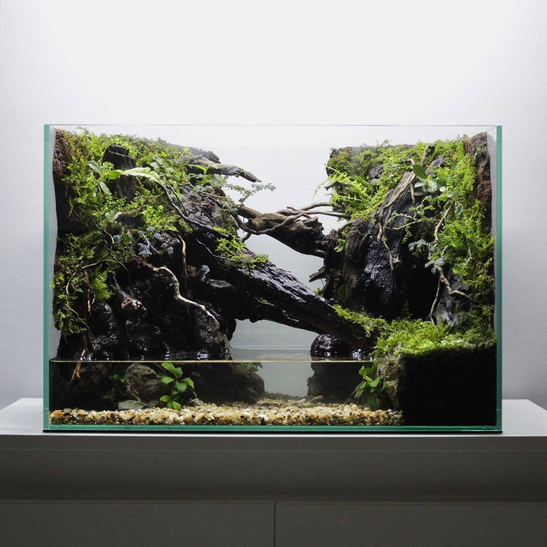 ☆Mii☆プロフ読んで下さい★　アクアテラリウム　イモリウム