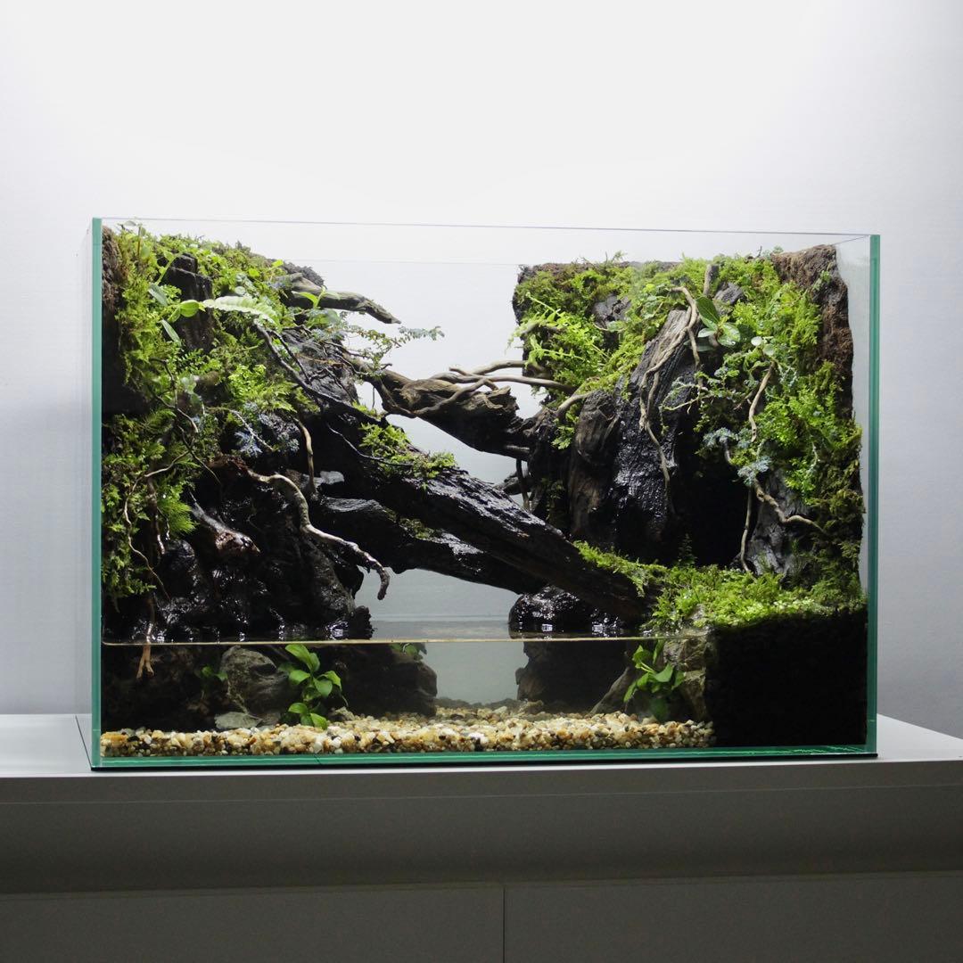 ☆Mii☆プロフ読んで下さい★　アクアテラリウム　イモリウム