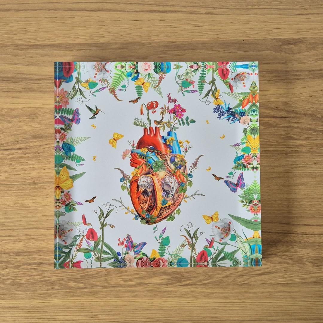 David Krovblit - Heart Growth 限定版 51/70