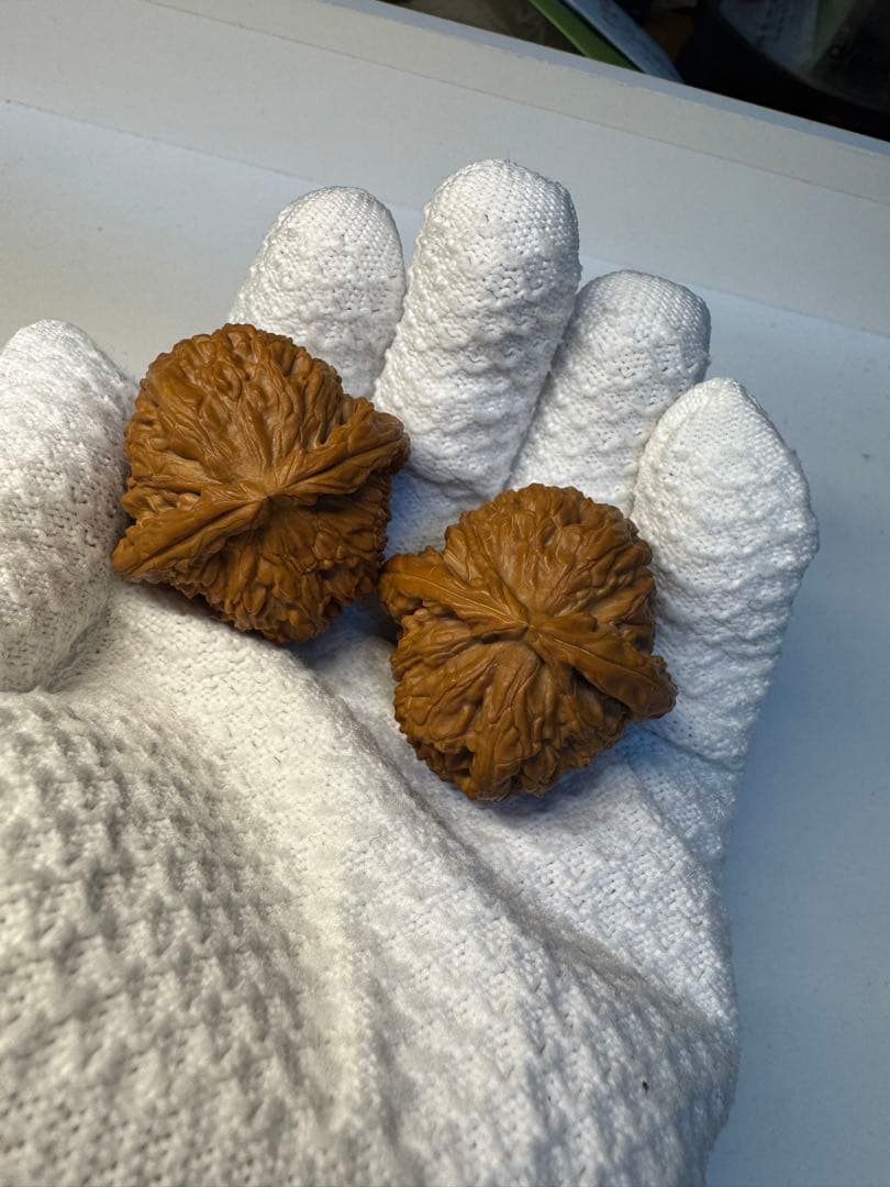 年末セール中！文玩核桃 三角白獅子